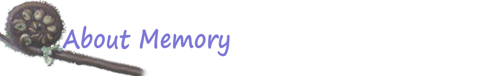 About memory